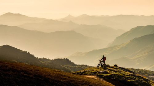 bike-park-vetetiste