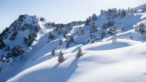 domaine-skiable-neige