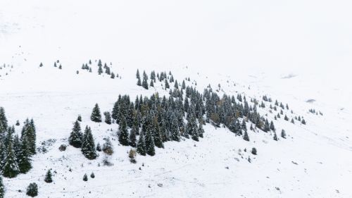 montagne-neige--pyrenees