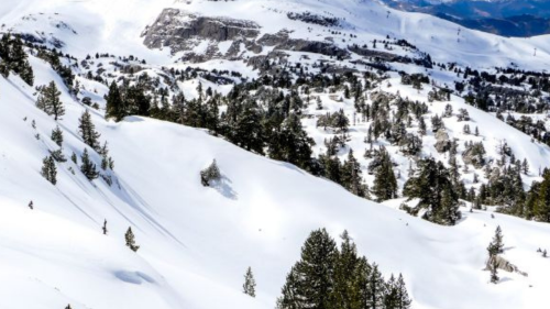 piste-ski-debutant-pierre-saint-martin