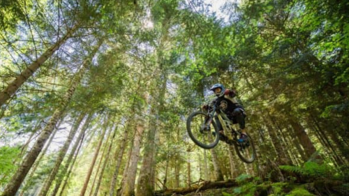 piau-vtt-foret