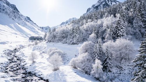 bareges-sapins